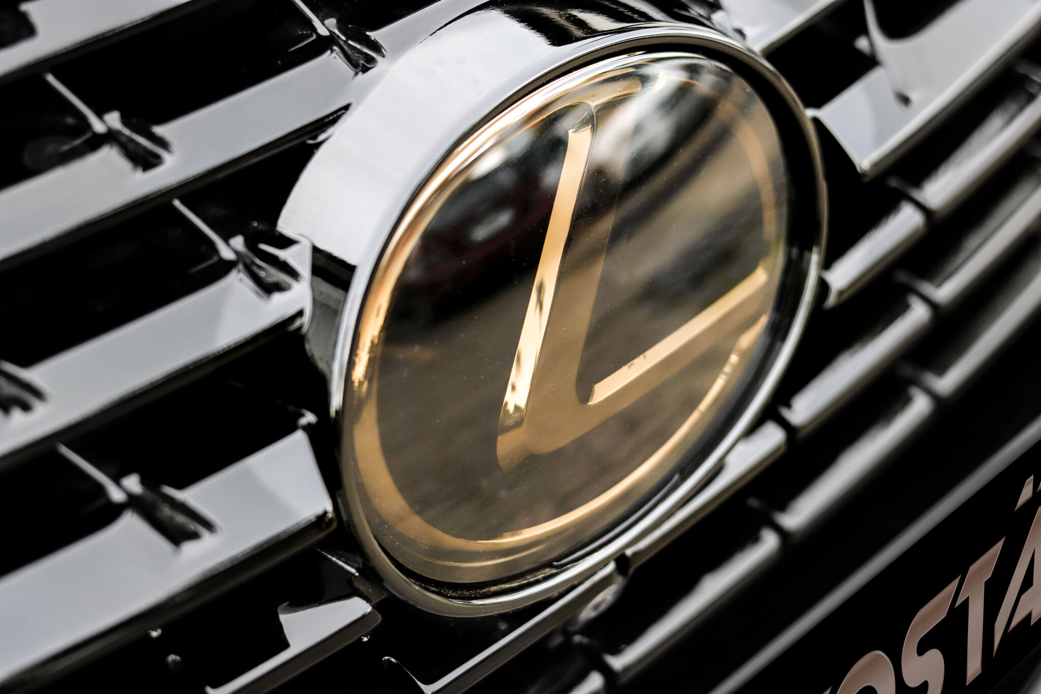 Lexus NX Logo smoked