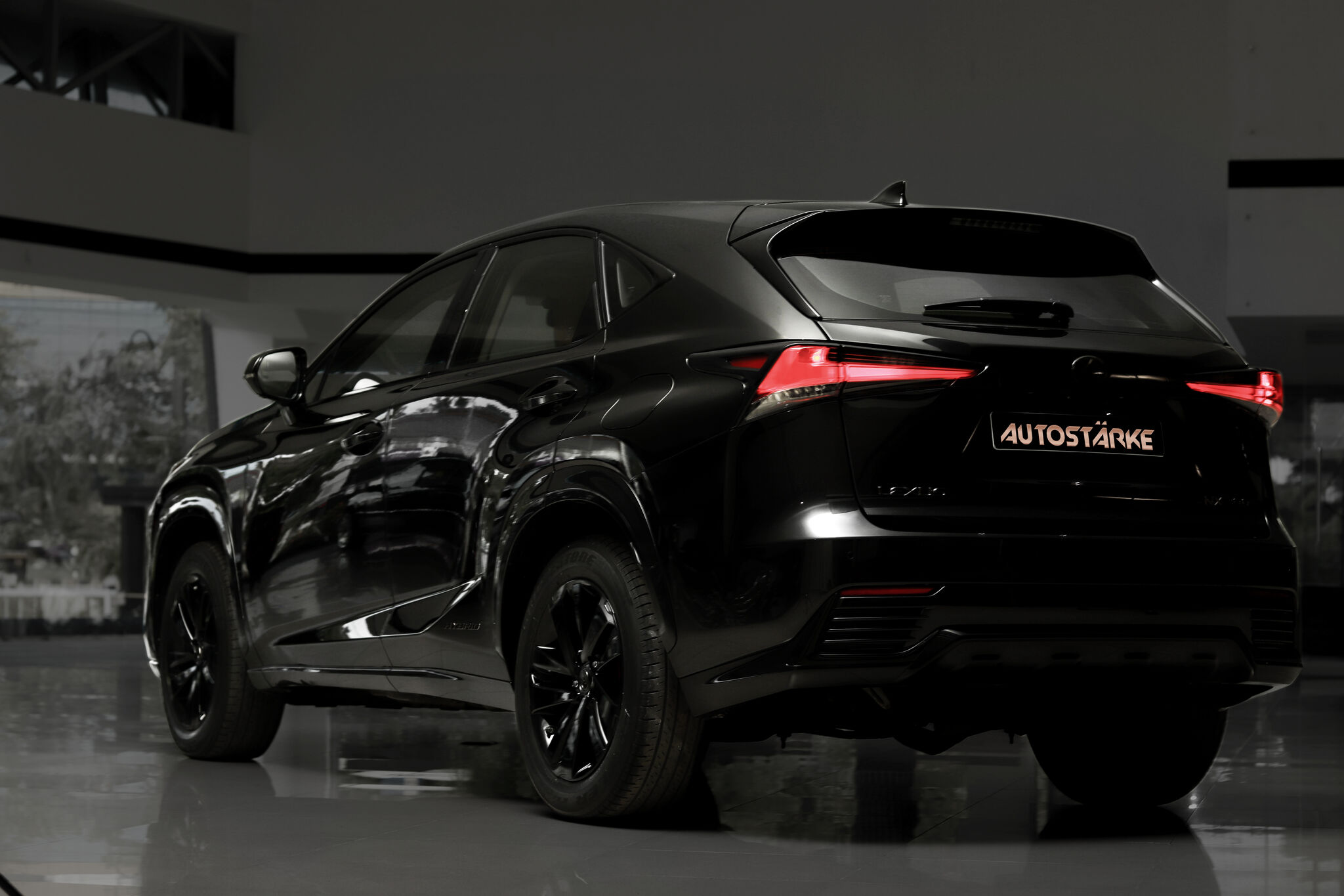 Lexus nx modified